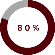 Circular graph showing 80% out of 100%